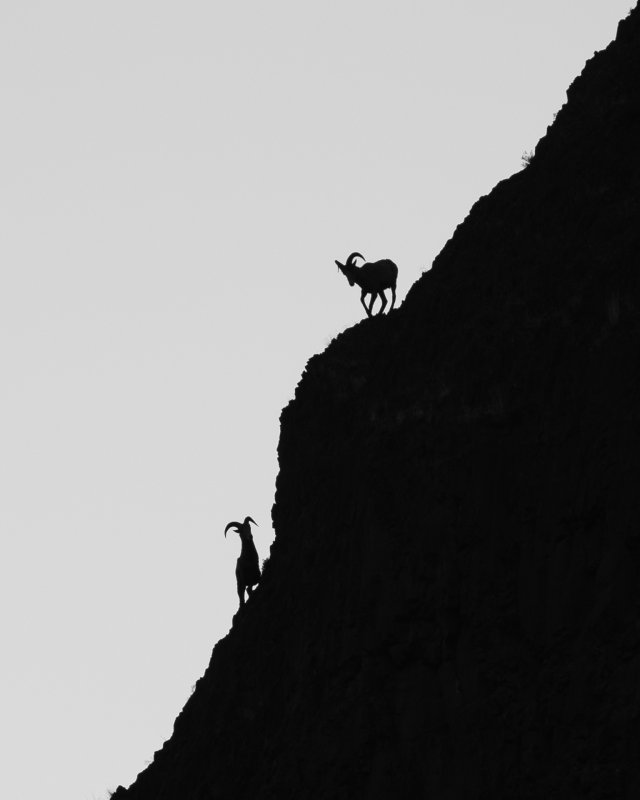 Climb