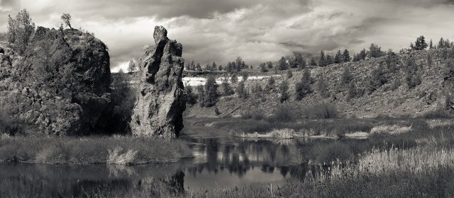 Sentinel