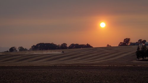 Fire Season Willamette Valley