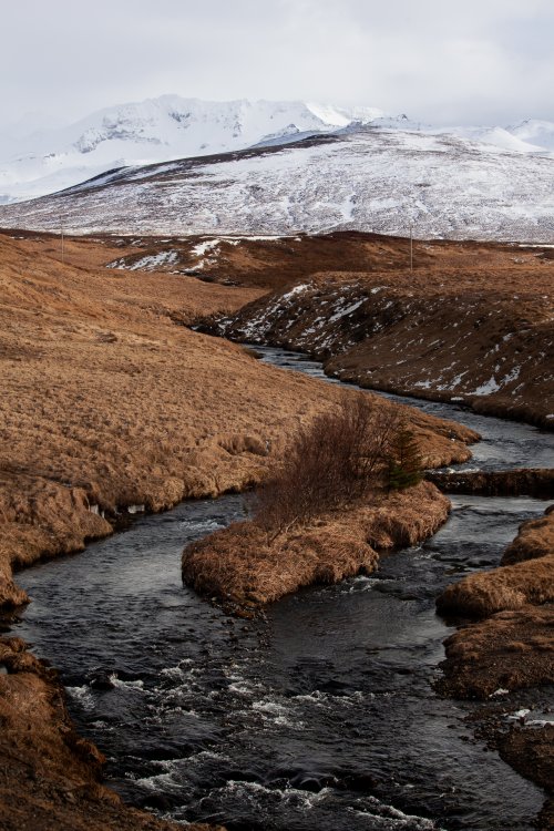 Meander