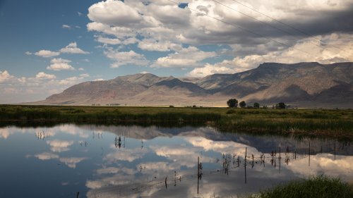 Reflection