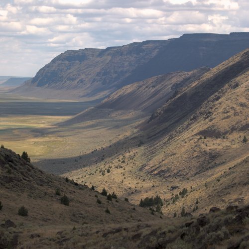 Valley Floor