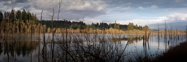 Wetland