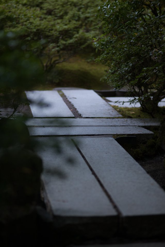 Paths